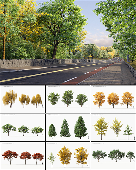 Maxtree Vol 11 from 3DS MAX Models & Free Download