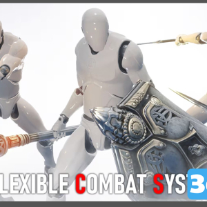 Flexible Combat System_Basic 5.3