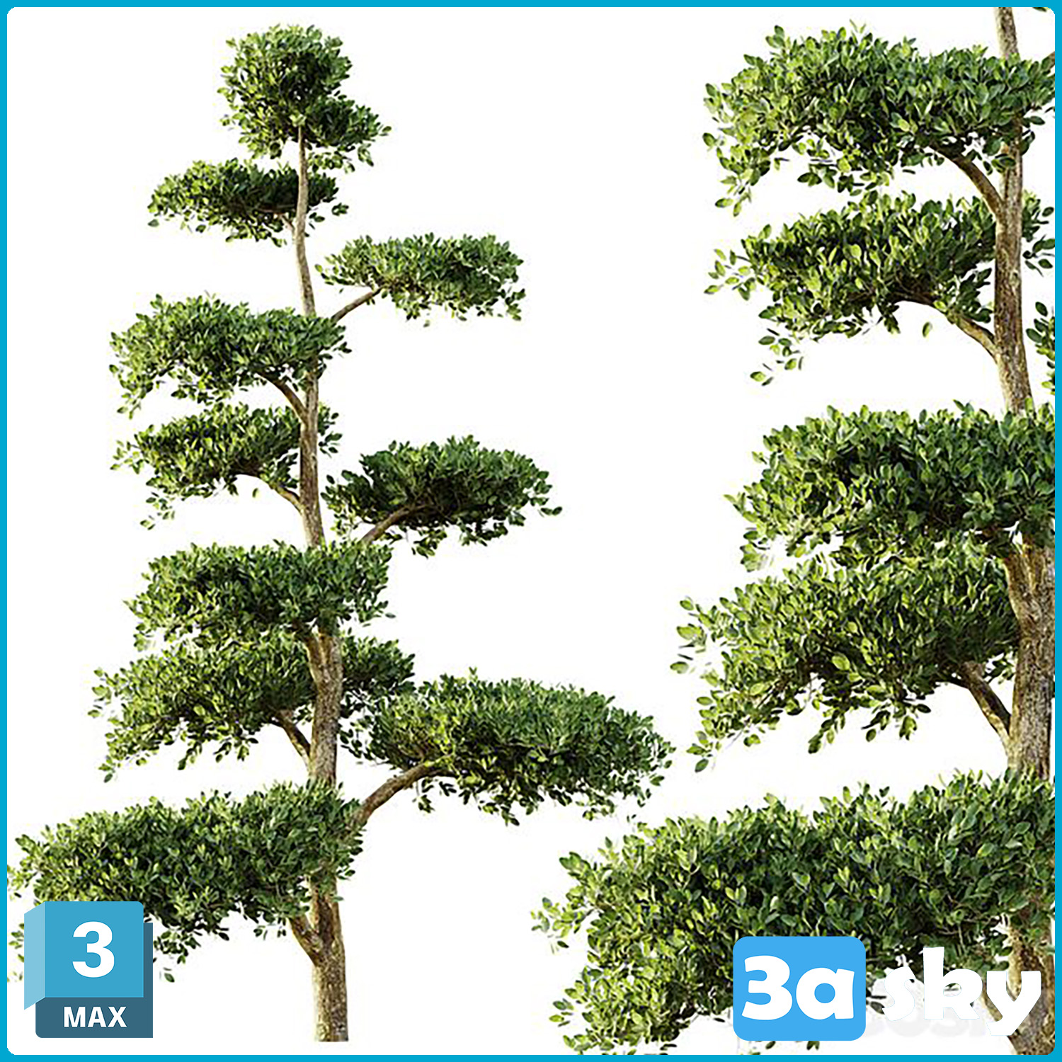 tree set 04 from 3DS MAX Models & Free Download